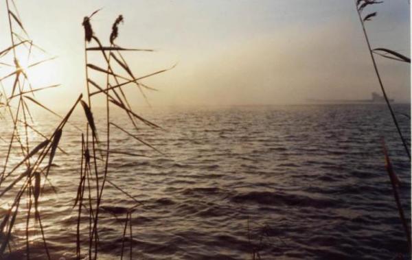 Ladoga 017