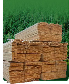 ����� 25*100*6000 �� �����